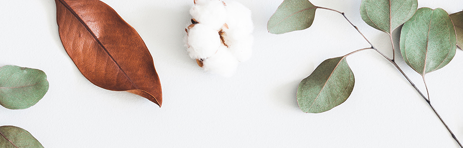 Efter�r: Tid til at forny sig